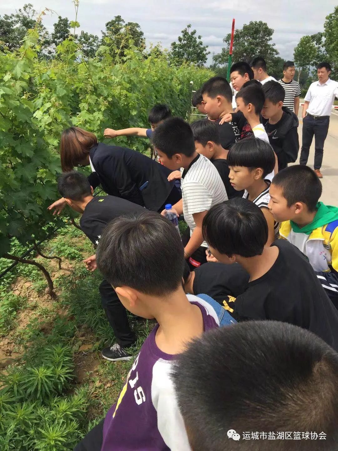 如何通过篮球表演赛制定有效的训练计划_0