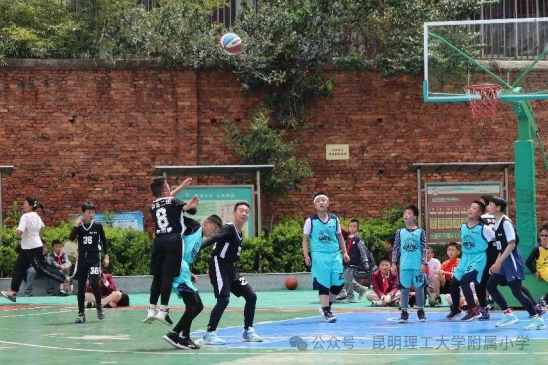 小学生篮球训练总结及心得体会简短_1