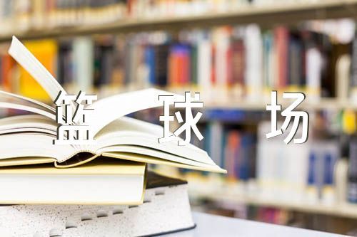 如何为青少年设计一个充满趣味性的篮球训练场地?_2