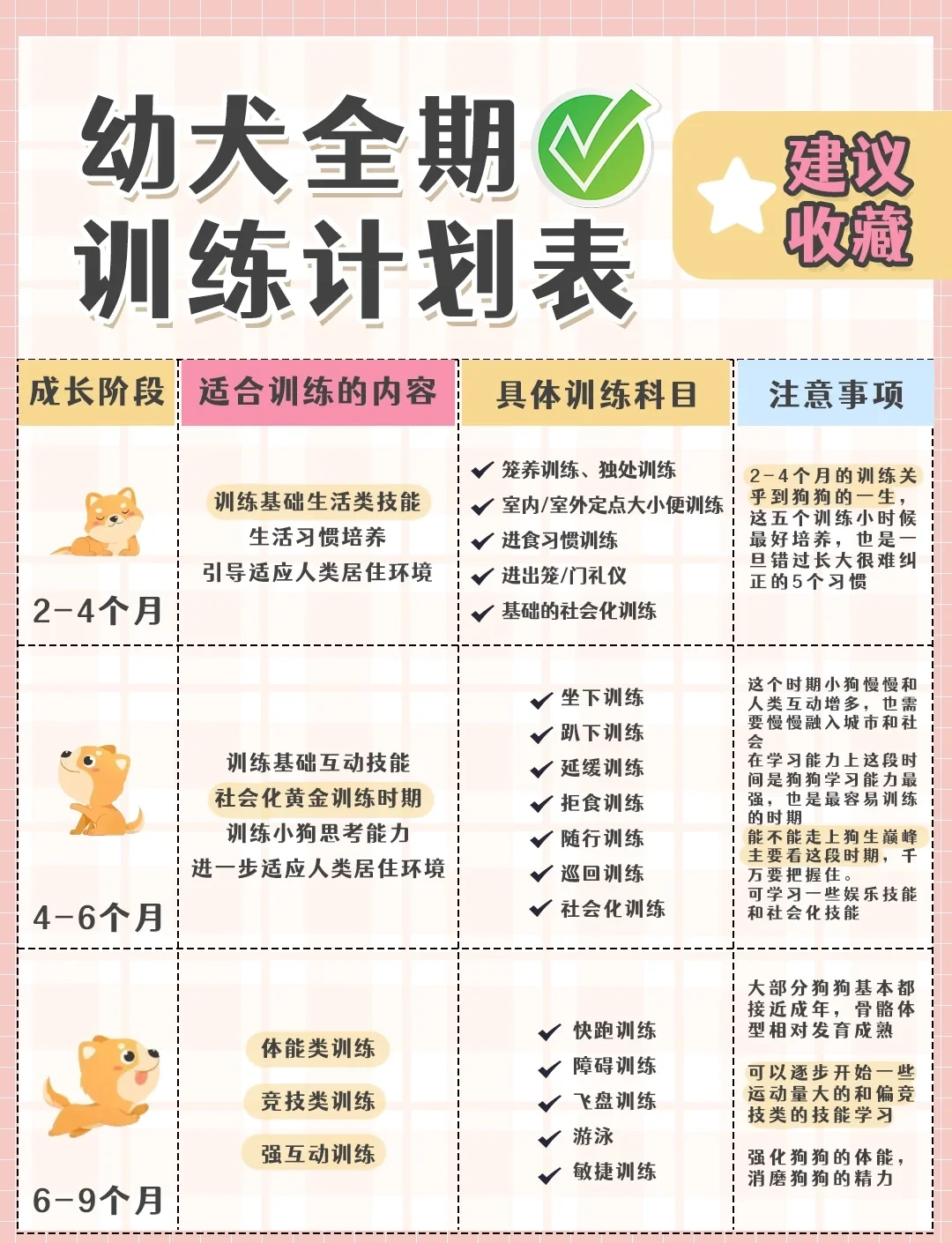 如何制定适合不同年龄段的快攻训练计划?